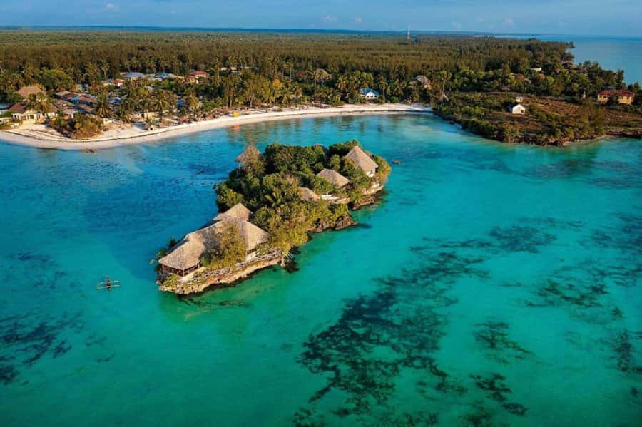 Mnemba Island, The Island Pongwe, Blue Lagoon Tour, The Rock - Blue Lagoon Atoll snorkeling: pristine reef time without turning the whole day into a scramble