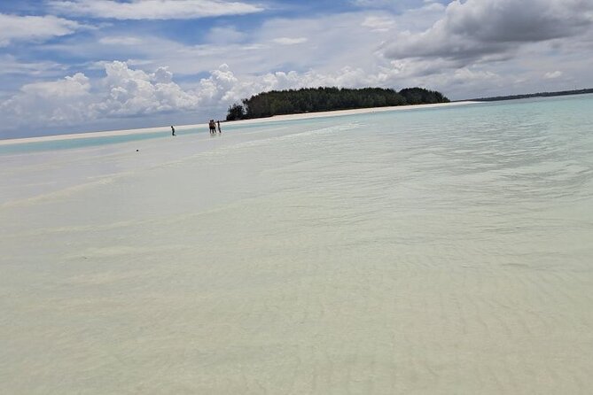 Mnemba Snorkeling, Dolphin and Baraka Natural Aquarium - Dolphin Point swim: the best chance for close encounters