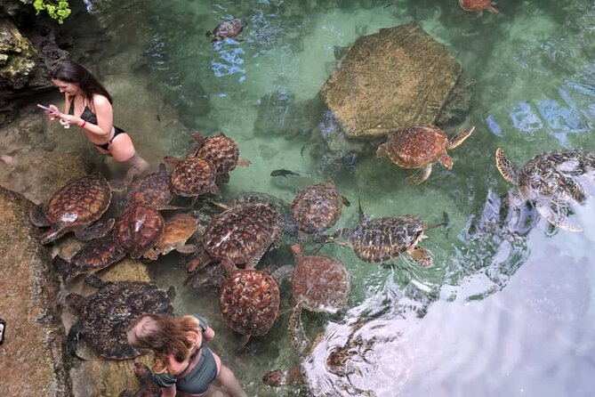 Mnemba Snorkeling, Dolphin and Baraka Natural Aquarium - Sandbank time: tide decides if you get the shore moment