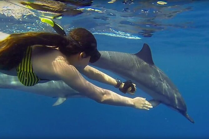Mnemba Snorkeling, Dolphin and Baraka Natural Aquarium - Getting there: pickup, boat timing, and a tight 5-hour window