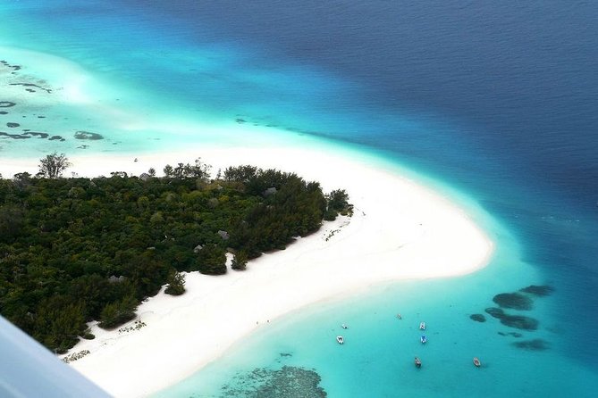 Mnemba Snorkeling, Kuza Cave, Blue Lagoon, Starfish Tour, The Rock Restaurant - Mnemba Island snorkeling and dolphins: the marine reserve effect