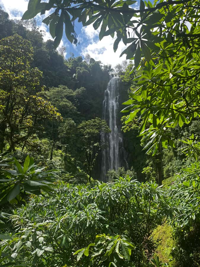 Moshi: A Day Tour To Materuni Waterfall - The coffee tour: roasting, grinding, and tasting Materuni coffee