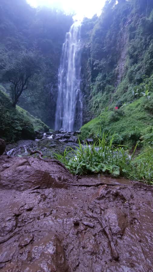 Moshi: A Day Tour To Materuni Waterfall - Should you book the Moshi to Materuni Waterfall day tour?