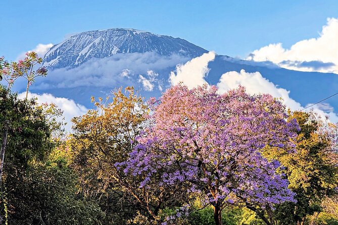 Moshi City Tour: Explore the Foothill of Kilimanjaro on Foot - Key Highlights You Should Know