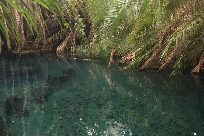 Moshi Hotspring - Kikuletwa (Chemka) Hot Springs, the “oasis in the savannah” vibe