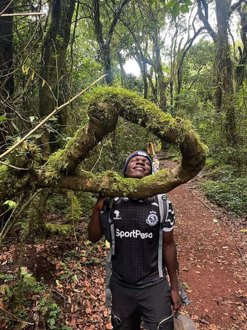 Moshi: Kilimanjaro Climb Marangu Route Guided Tour - Rainforest hike to Mandara Hut: where the day earns its keep