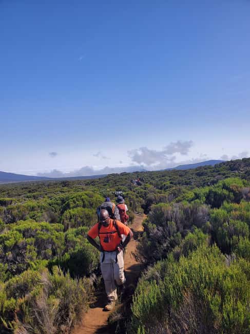 Moshi: Kilimanjaro Climb Marangu Route Guided Tour - Who should book this Marangu 1-day hike?