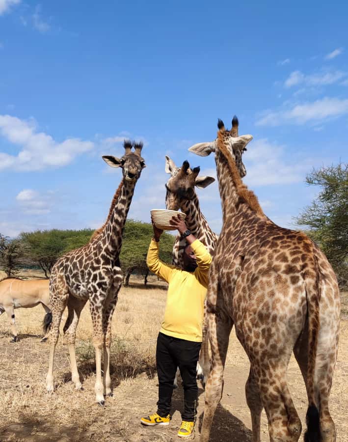 Moshi: Serval Wildlife Tour with food and drinks - Key highlights worth your attention