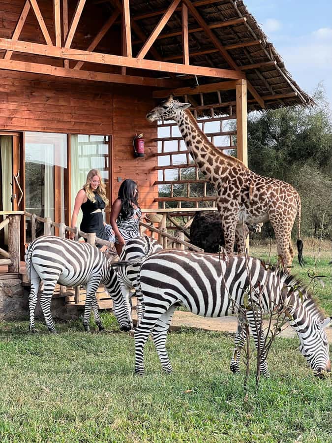 Moshi: Serval Wildlife Tour with food and drinks - Serval Wildlife Sanctuary near Kilimanjaro, what it’s really like