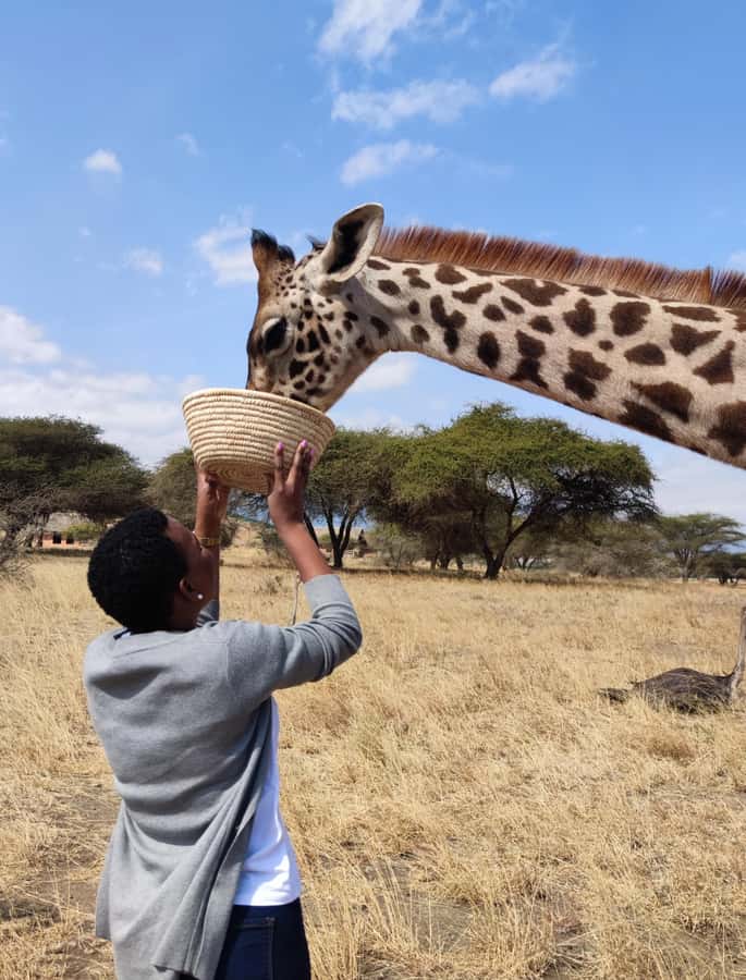 Moshi: Serval Wildlife Tour with food and drinks - The transport piece, why it matters for your expectations