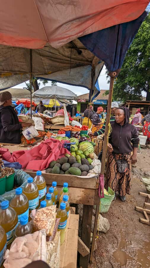 Moshi Town: Walking Tour: Theme Urban lifestyle - Key points that make this tour worth your time
