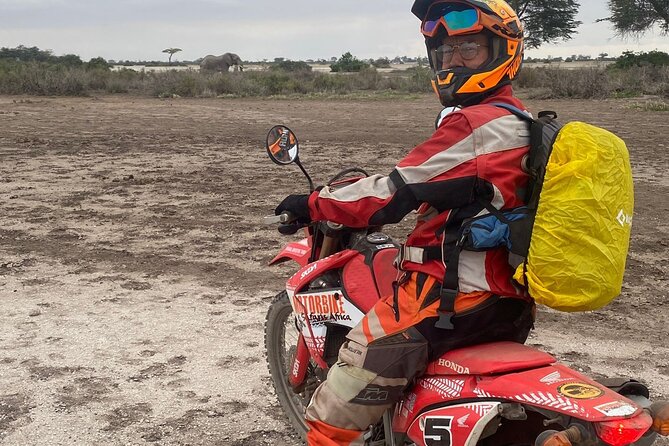 Motorcycle Safari - Wildlife Viewpoints and Village Stops: How You Get Close Without Getting Reckless