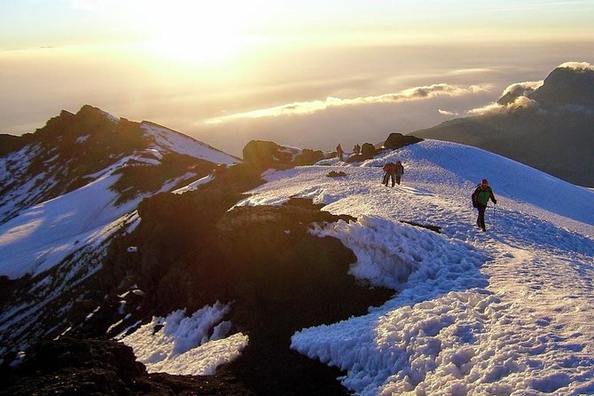 Mount Kilimanjaro 6 days - Machame route - Day 1: Machame to Machame Camp through rain forest and muddy footing