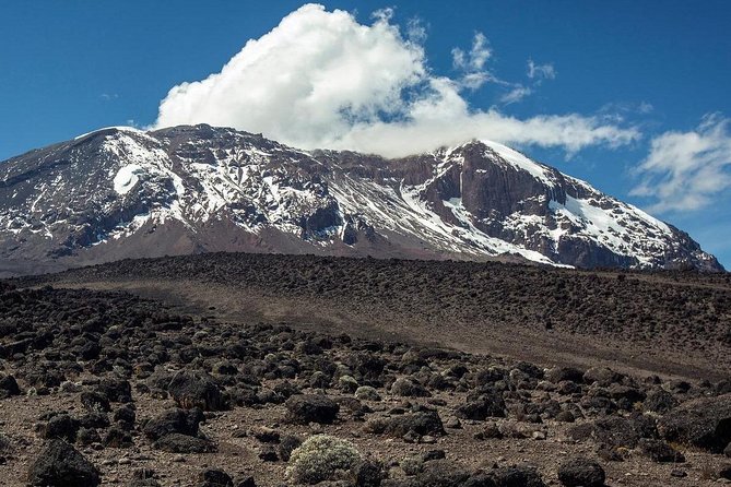 Mount Kilimanjaro 6 days - Machame route - Day 4: Barafu Camp, South Circuit effort, and summit-night preparation