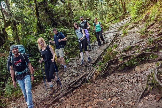 Mount Kilimanjaro 7 Days - Machame Route - Day 1: Machame Gate to Machame Camp through wet rain forest