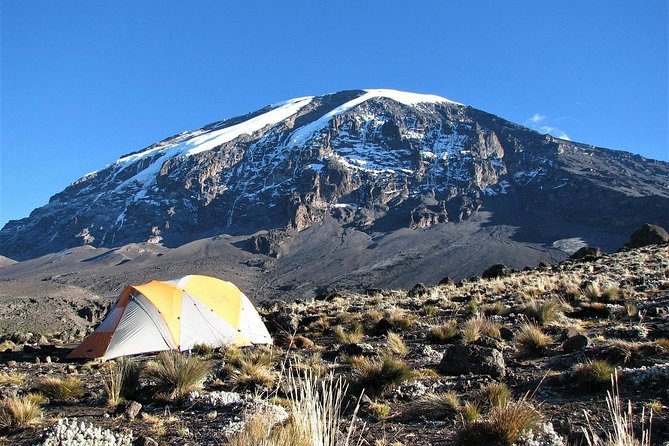 Mount Kilimanjaro 7 Days - Machame Route - Day 3: Lava Tower, the Shark’s Tooth area, and the turn down to Barranco