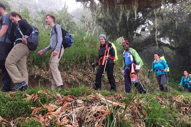 Mount Kilimanjaro 7 Days - Machame Route - Day 4: Barranco Wall to Karanga Valley, the steep ridge day