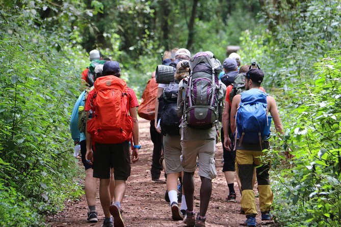 Mount Kilimanjaro Day Hike - Key Highlights You Will Actually Care About