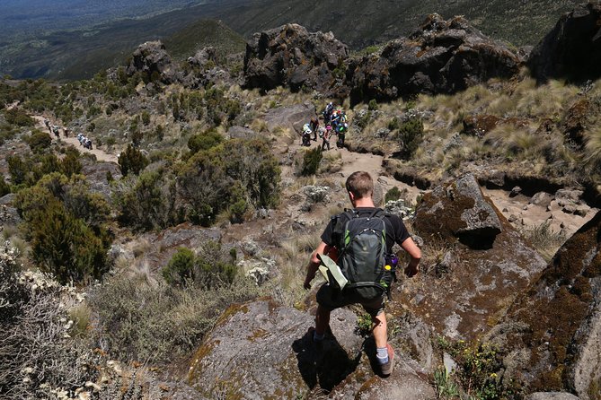 Mount Kilimanjaro Day Hike - Mandara Hut Timing and Turning Back Without Regret