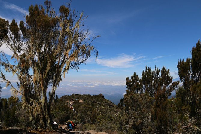 Mount Kilimanjaro Day Hike - Timing, Weather, and Staying Comfortable at Higher Elevation