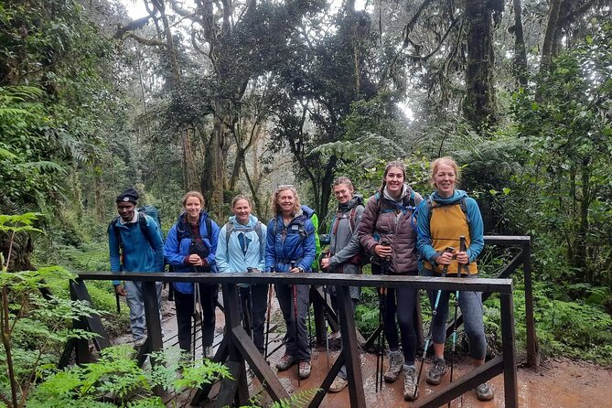 Mount Kilimanjaro Day Hike Through Marangu Route to Mandara Hut - A taste of Kilimanjaro on the Marangu Route