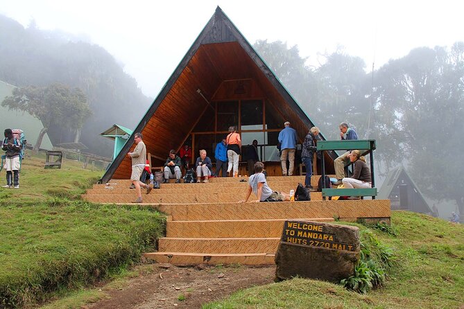Mount Kilimanjaro Day Hike Through Marangu Route to Mandara Hut - Guides, private group time, and why pacing gets praised