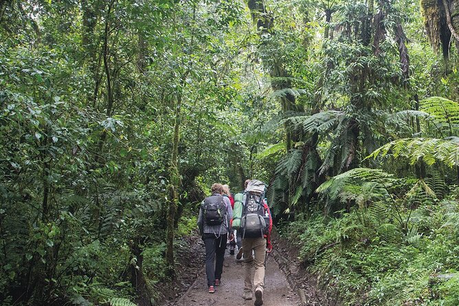 Mount Kilimanjaro Day Hike Through Marangu Route to Mandara Hut - Weather reality: what to expect and how to plan