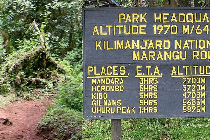 Mount Kilimanjaro Day Hike Through Marangu Route to Mandara Hut - The 6:00 am start and how the day is paced