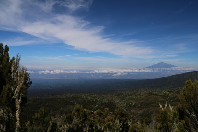 Mount Kilimanjaro Day Hike - Price and value for $300 per person with transfers and lunch