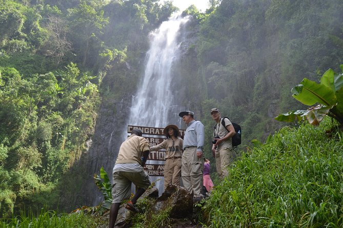 Mount Kilimanjaro day trip trekking - Key highlights I’d plan around