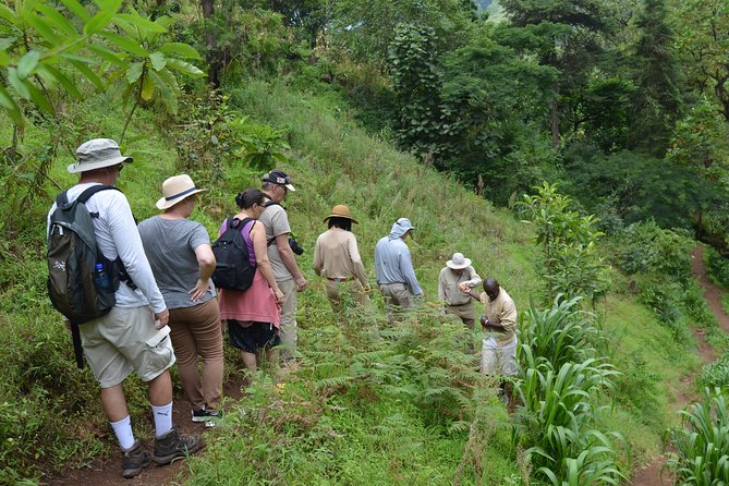 Mount Kilimanjaro day trip trekking - Kikuletwa Hot Springs: how the soak fits the schedule