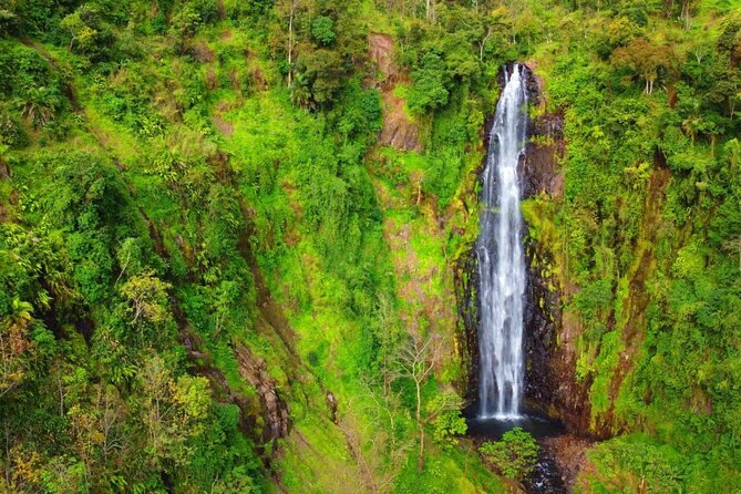 Mount Kilimanjaro day trip trekking - Transportation, group size, and timing for a 1 day 10 hour day