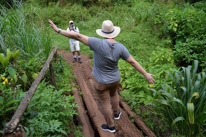Mount Kilimanjaro day trip trekking - Price and value of $90 including lunch, drinks, and hotel pickup