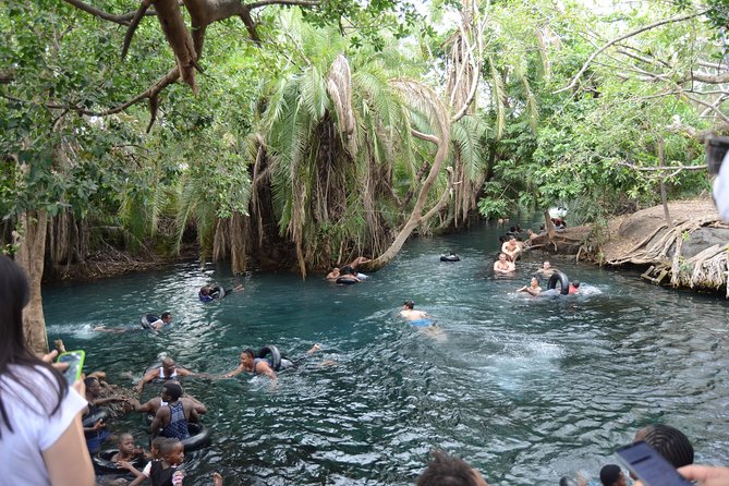 Mount Kilimanjaro day trip trekking - Who should book this Materuni and hot springs day trip