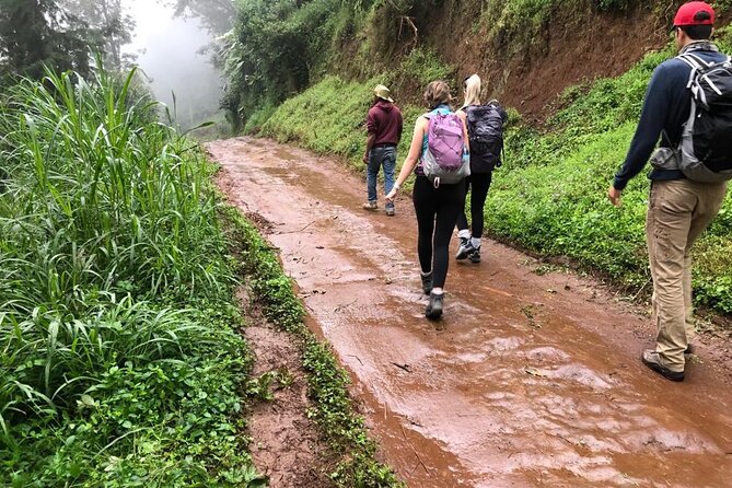 Mount Kilimanjaro day trip trekking - Materuni Waterfalls hike: short, scenic, and a little tough