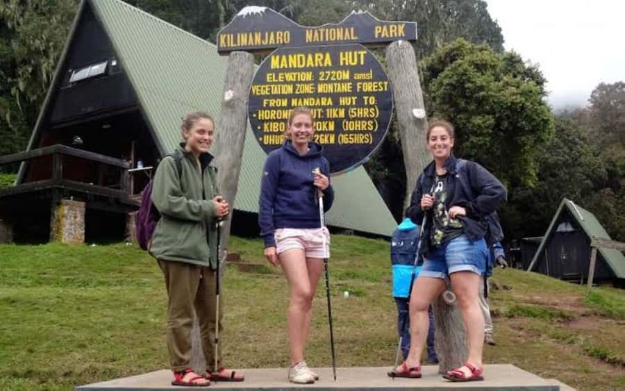 Mount Kilimanjaro National Park Day Trip - Key highlights to know before you go