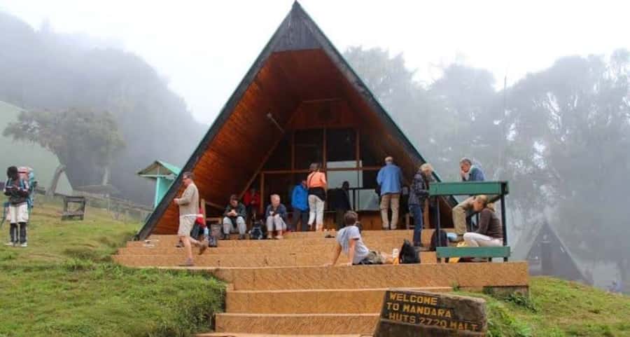 Mount Kilimanjaro National Park Day Trip - Why a 9-hour Kilimanjaro day trip makes sense