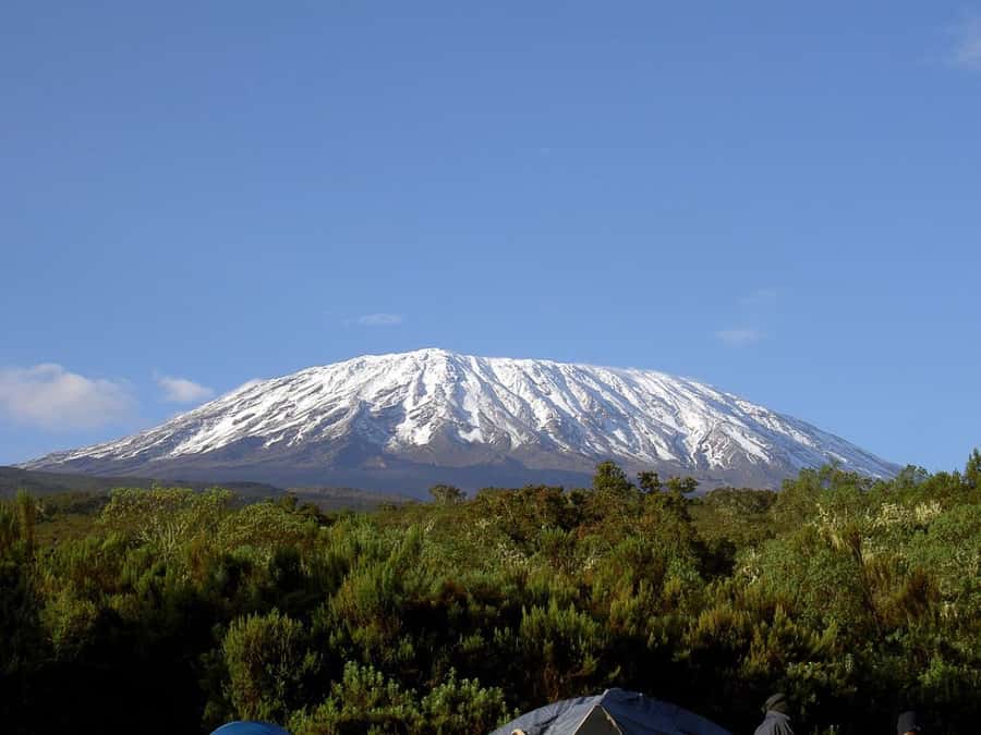 Mount Kilimanjaro National Park Day Trip - Getting from Arusha or Moshi to Marangu Gate