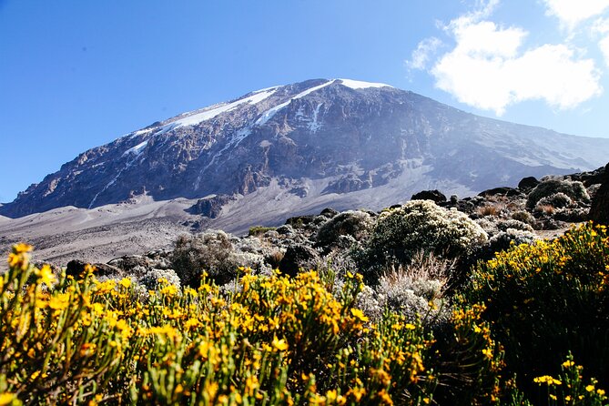 Mount Kilimanjaro Rongai Route - Day 2: Second Cave lunch and the move toward Mawenzi (10 km, 5 to 6 hours)