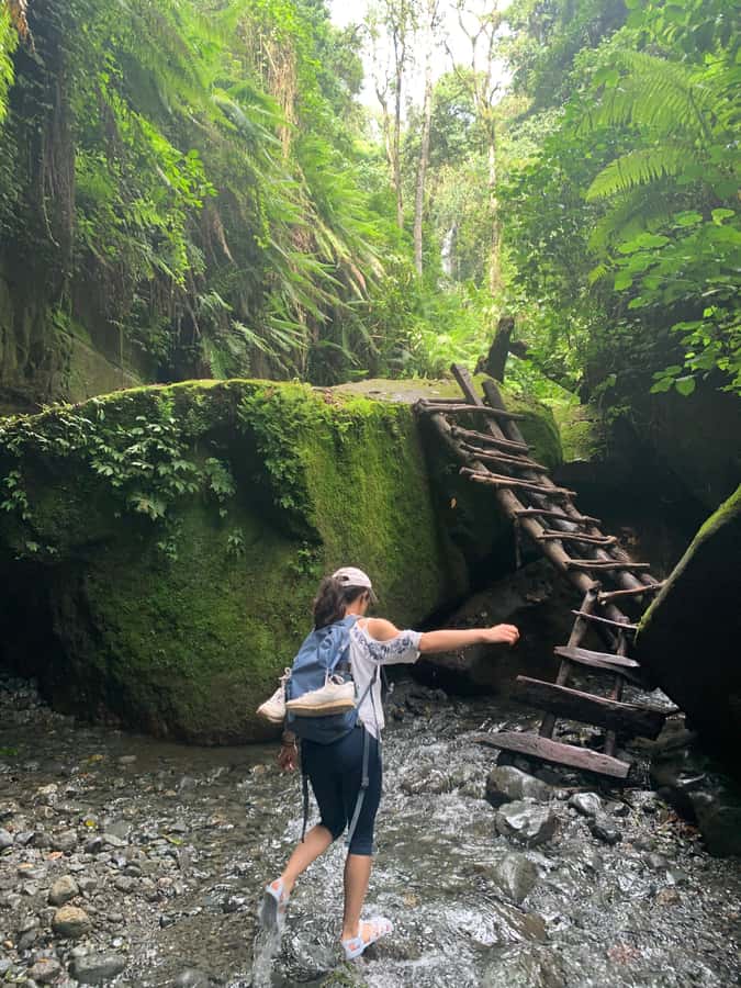 Mount Meru Arusha: Napuru Waterfall Hike by Kingstone Asilia - Key things that make this hike worth it