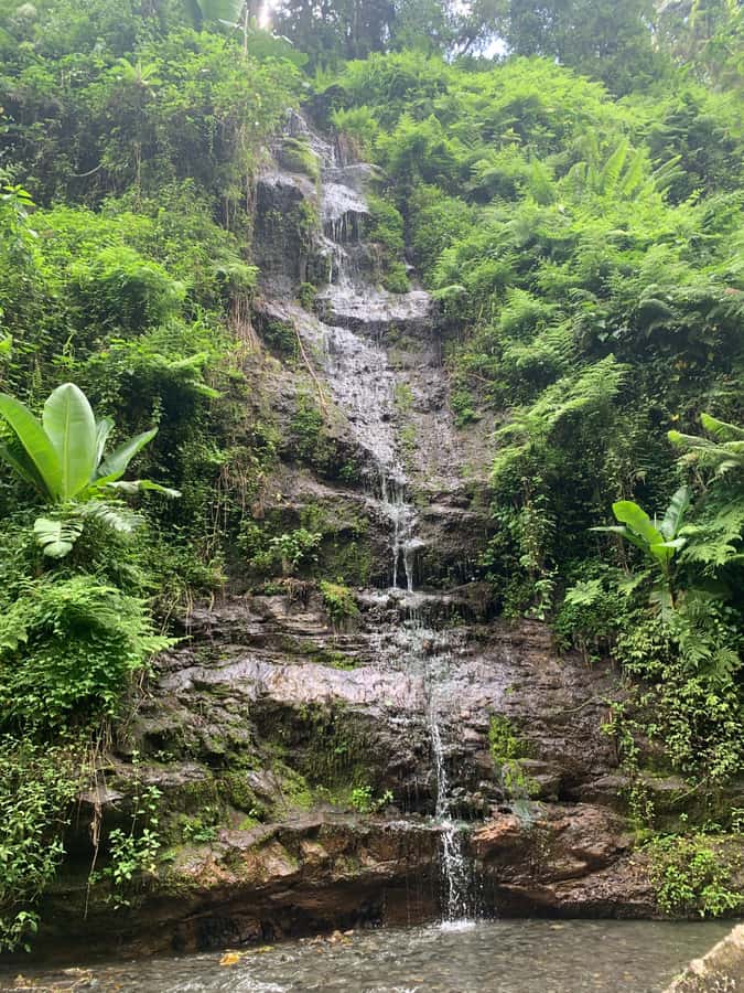 Mount Meru Arusha: Napuru Waterfall Hike by Kingstone Asilia - Lunch timing, what it costs, and what to do if you’re hungry