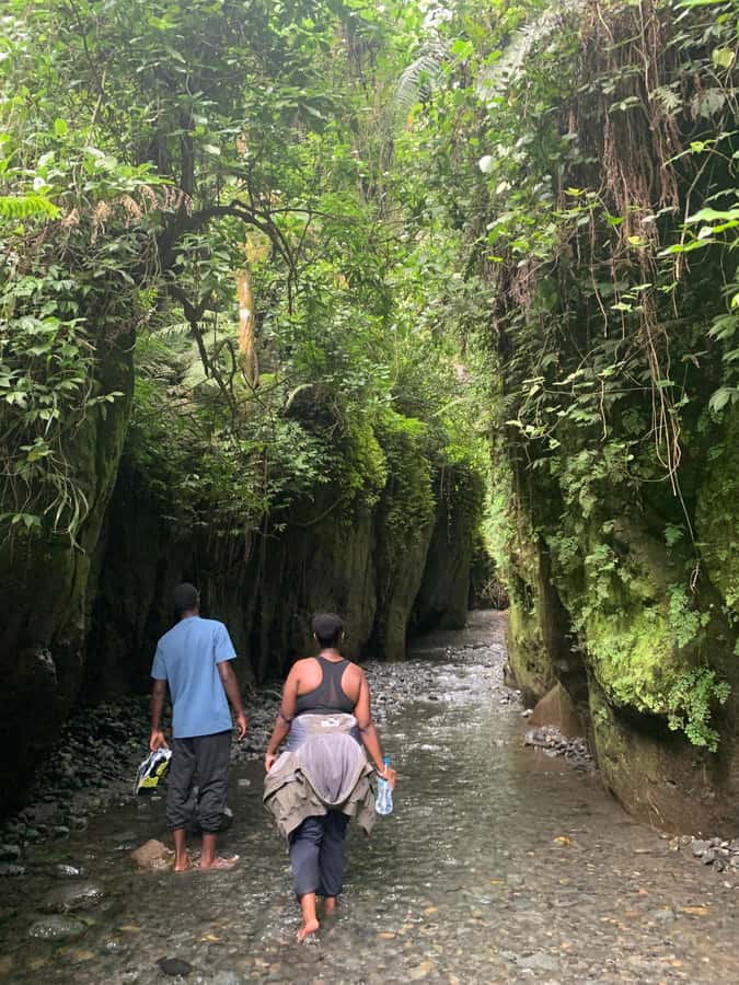 Mount Meru Arusha: Napuru Waterfall Hike by Kingstone Asilia - The 3-hour downhill to the riverbed, with real footing