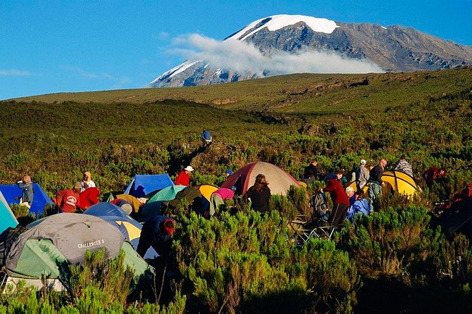 Mountain Kilimanjaro Climbing 7 Days Machame Route - Key Highlights You’ll Want to Know