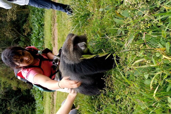 Mountain Kilimanjaro Day Hike - From Arusha or Moshi to Marangu Gate: the drive is part of the experience