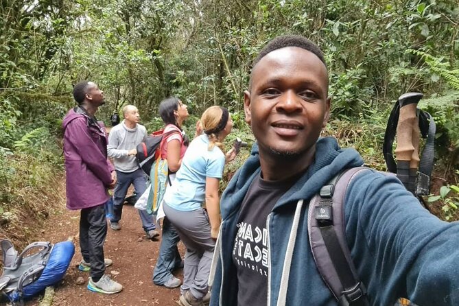 Mountain Kilimanjaro Day Hike - The uphill hike to Mandara Hut: steady effort, big feelings