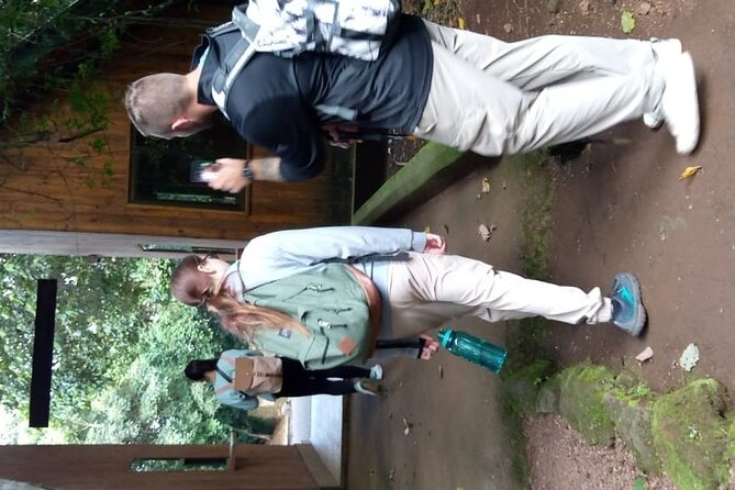 Mountain Kilimanjaro Day Hike - Mandara Hut pause: the picnic and the psychological reset