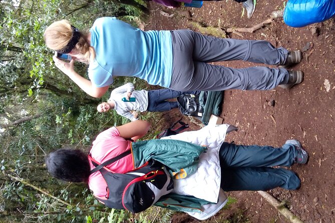 Mountain Kilimanjaro Day Hike - Marangu Gate to the rainforest trail: what you’re really doing before you climb