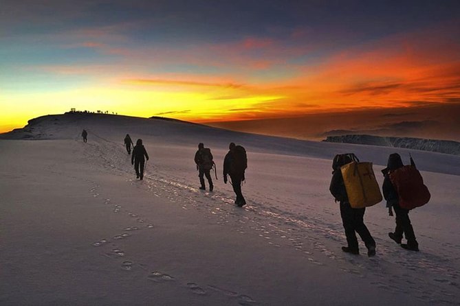 Mt Kilimanjaro 360° Trek with Once-in-a-Lifetime Crater Camping - Acclimatization and the Lava Tower Area on Day 4