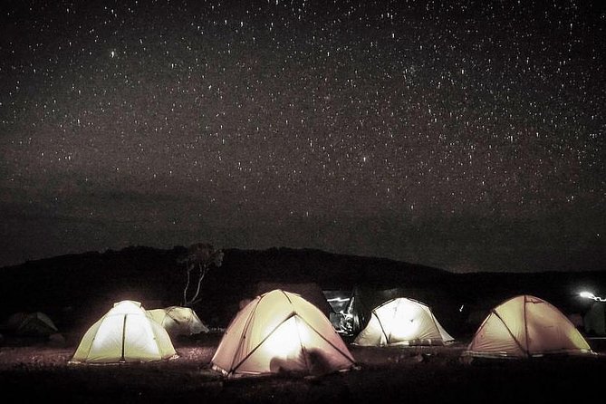 Mt Kilimanjaro 6 days Marangu route hike - Day 2: moorlands to Horombo, where altitude starts to show up