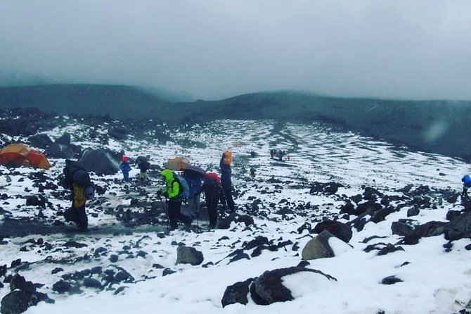 Mt Kilimanjaro 6 days Marangu route hike - Day 3: Horombo Hut acclimatization day, and the option to Mawenzi Hut